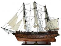   Napoleon 94*31*84