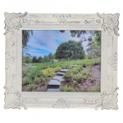    (25x20 )