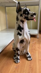 ��������� �������� ��� �������� 91 ��