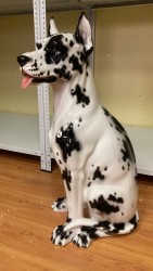 ��������� �������� ��� �������� 91 ��