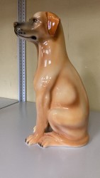 ��������� �������� ��������