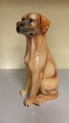 ��������� �������� ��������