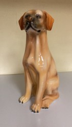 ��������� �������� ��������