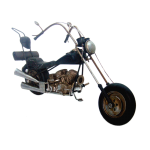  Harley Davidson