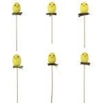   6-   