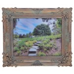    (25x20 )