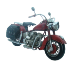    Harley Davidson 