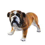 ��������� �������� �������